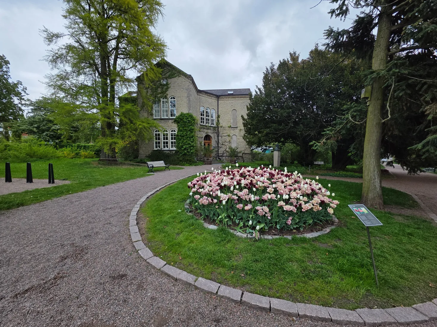 Botaniska trädgården