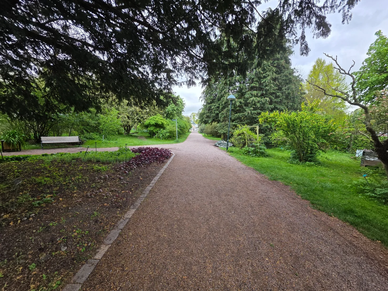 Bergianska trädgården